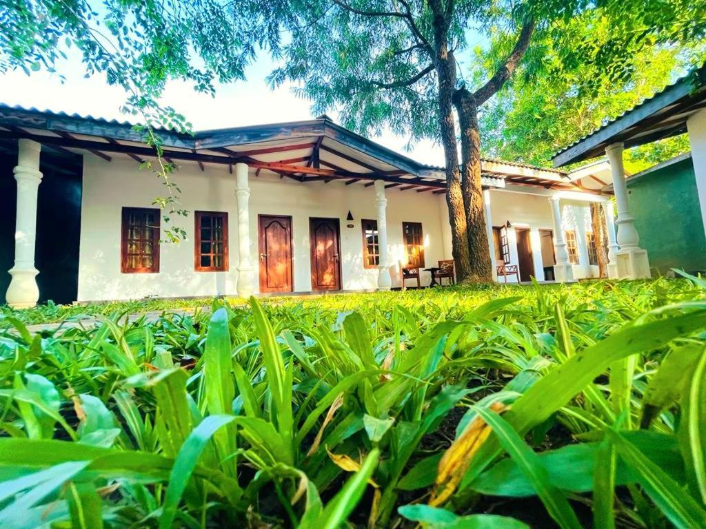 Kingfisher Resort Sigiriya Ngoại thất bức ảnh