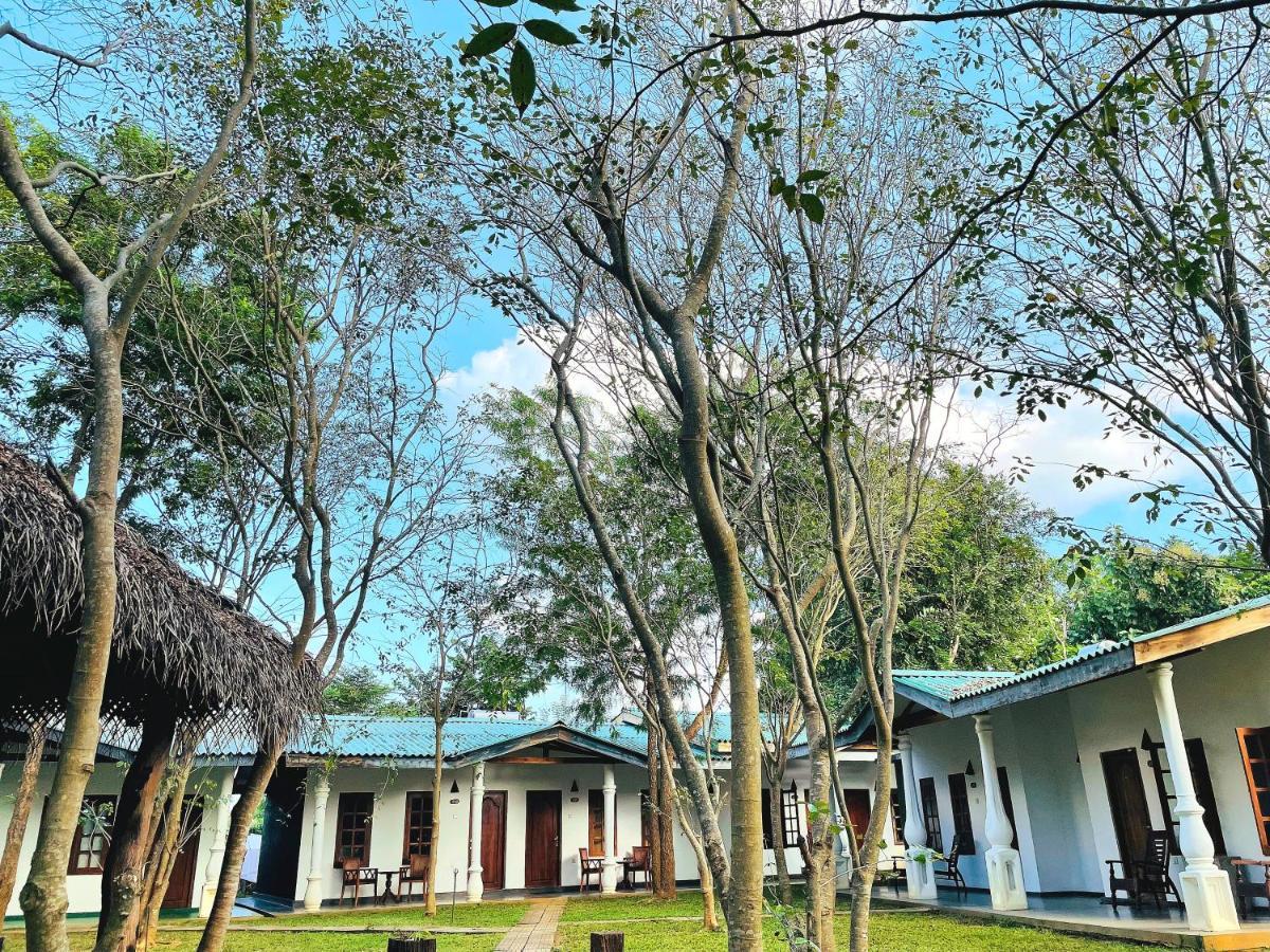 Kingfisher Resort Sigiriya Ngoại thất bức ảnh